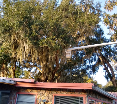 Timberfalls Tree Service - Pomona Park, FL