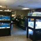 The Aquarium Store