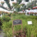Jo Ann’s Flowers - Greenhouses