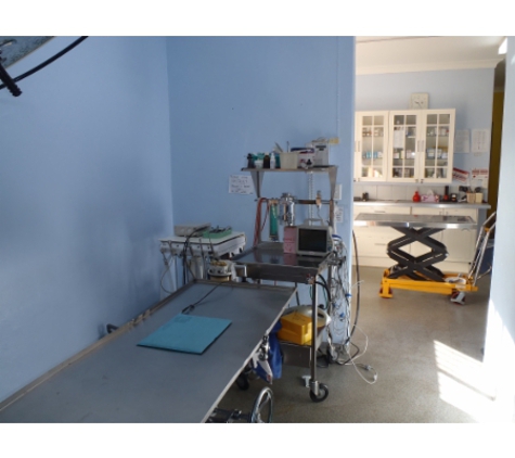 Bassendean Veterinary Hospital - Bassendean, WA