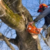 Agnew Tree Service gallery