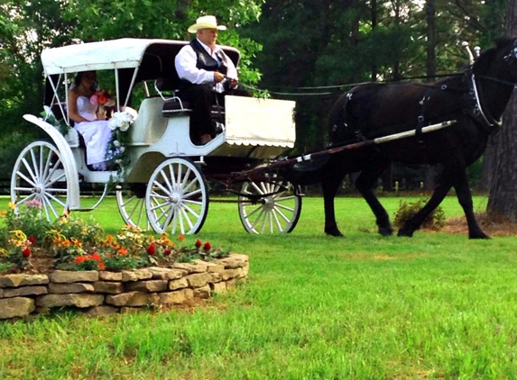 Hollow Creek Plantation - Ecru, MS