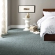 Carpet Clean - Mills Technique
