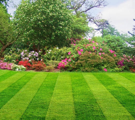 SW Florida Lawn Care