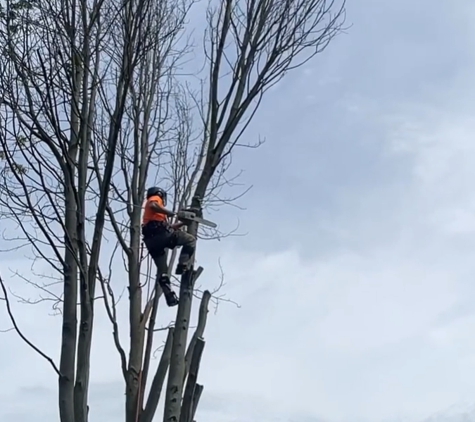 Indiana Stump Remover