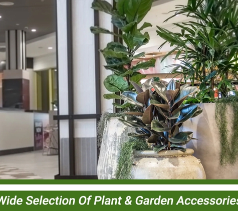 D&L Indoor Plant Hire & Garden Maintenance - Shell Cove, NSW. Wide Selection Of Plant & Garden Accessories