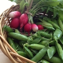 Sow Fresh Organics - Health & Diet Food Products
