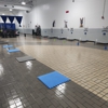 Dog Training Elite Treasure Coast gallery