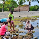 VOYAGES - Explore The Big Island - Educational Services