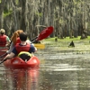 Kayak Swamp Tours gallery