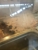 Sarku Japan - Fast Food Restaurants