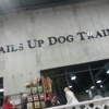 Tails Up Dog Training gallery