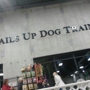 Tails Up Dog Training