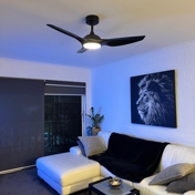 Gallery Image Number 2