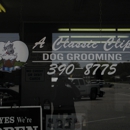 A Classic Clip Dog Grooming - Pet Services
