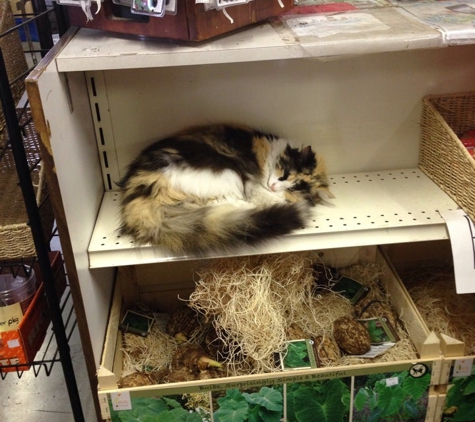 Bethel Feed & Supply Pet & Garden Center - Bethel, OH