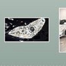 Clove Auto Body Inc. - Automobile Body Repairing & Painting