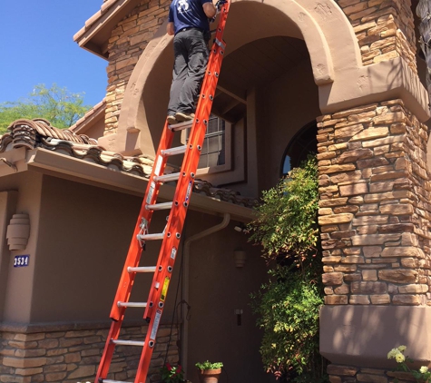 Pigeon Control Phoenix - Phoenix, AZ