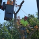 A Better Tree Service