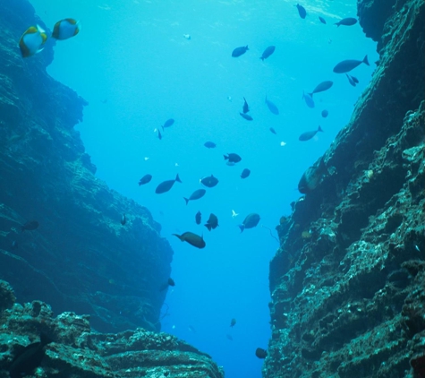 Fathom Five Divers - Koloa, HI