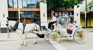 Vintage Carriage Company - Horse & Carriage-Rental
