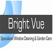 Bright Vue - Window Cleaning