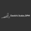 Scalzo David A DPM gallery