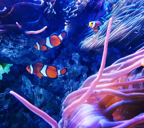 Butterfly House & Aquarium - Sioux Falls, SD