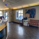 Jasper Animal Hospital - Veterinary Clinics & Hospitals