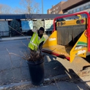 Creative Tree Service