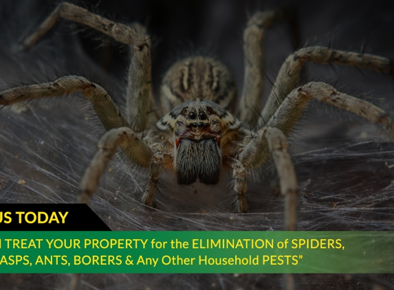 Ridley's Pest Control - Echuca, VIC. We Will Treat Your Property For The Elimination Of Spiders, Bees, Wasps, Ants, Borers & Any Other Household Pests