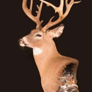 Branchborough Taxidermy Studio - Taxidermists