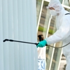 Bug Bully Rodent & Pest Control gallery