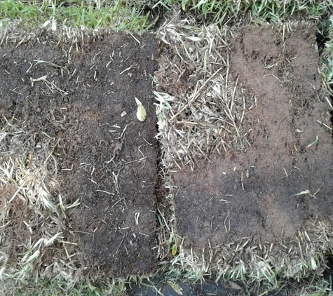 Arkansas Sod & Turf - North Little Rock, AR. Bare spots on back of sod.