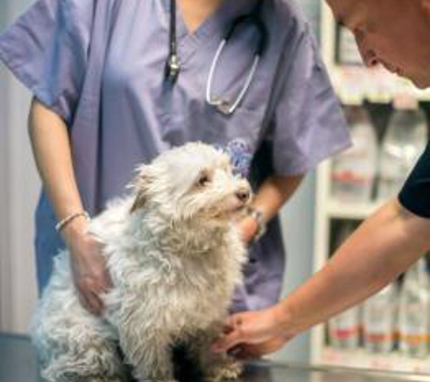 North Peninsula Veterinary Emergency Clinic - San Mateo, CA