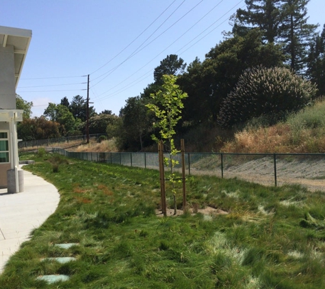 Edna Maguire Elementary - Mill Valley, CA