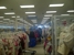 Ross Dress for Less - Discount Stores