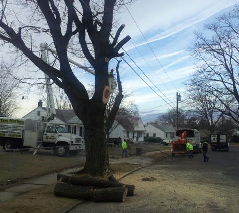 Tree & Land Masters, LLC - Berlin, NJ