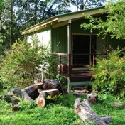 Gallery Image Number 4