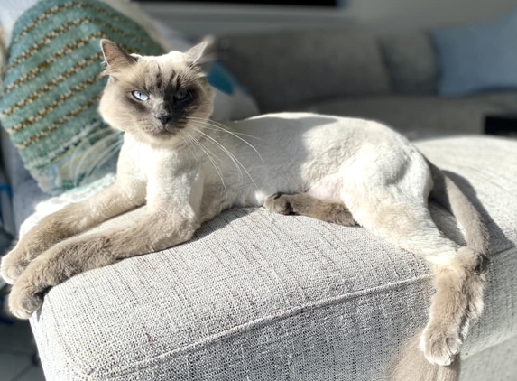 Acacia Veterinary Surgery - Yeppoon, QLD