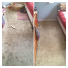 Premium Carpet & Tile Cleaning