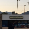 Monrovia Tropical Fish gallery