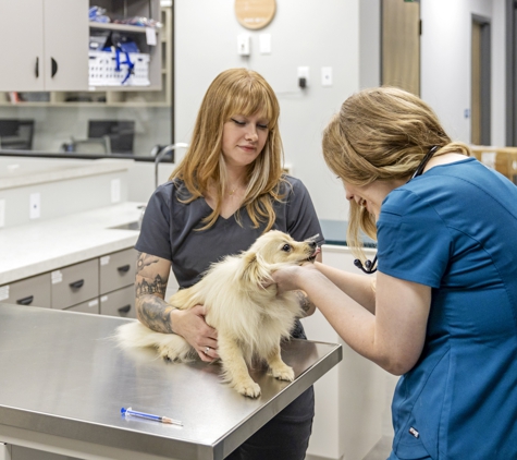 Livewell Animal Hospital of Edmond - Edmond, OK