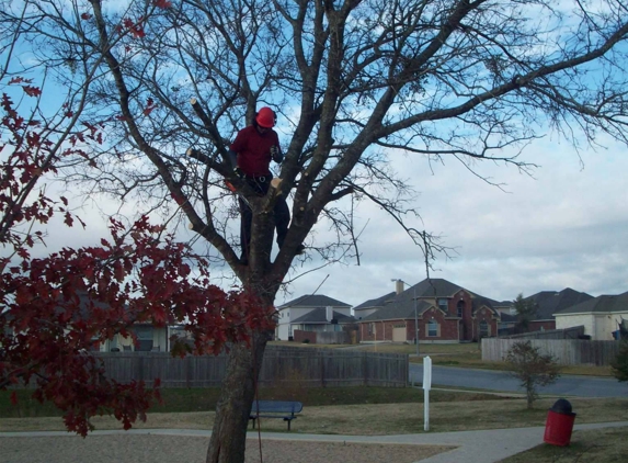 Hook And Ladder Tree Service - Temple, TX. www.hookandladdertree.com