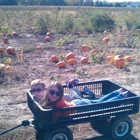 Lendt's Pumpkin Patch