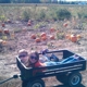 Lendt's Pumpkin Patch