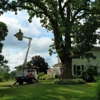 J's Tree Trimming And Removal, Inc. gallery