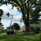 J's Tree Trimming And Removal, Inc.