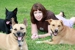 A Dog's Dharma - Dog Training