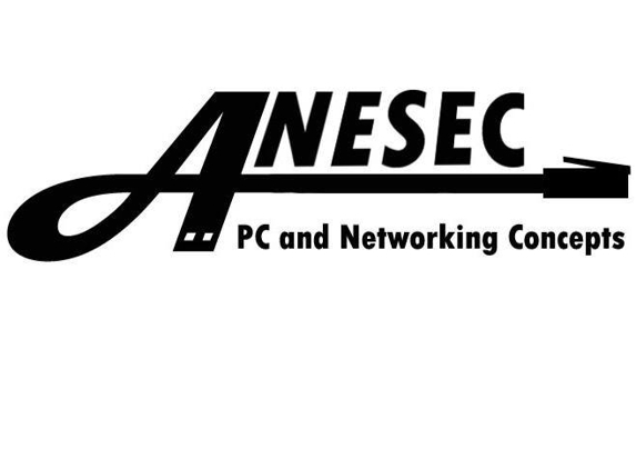 Anesec PC & Networking Concepts - El Paso, TX